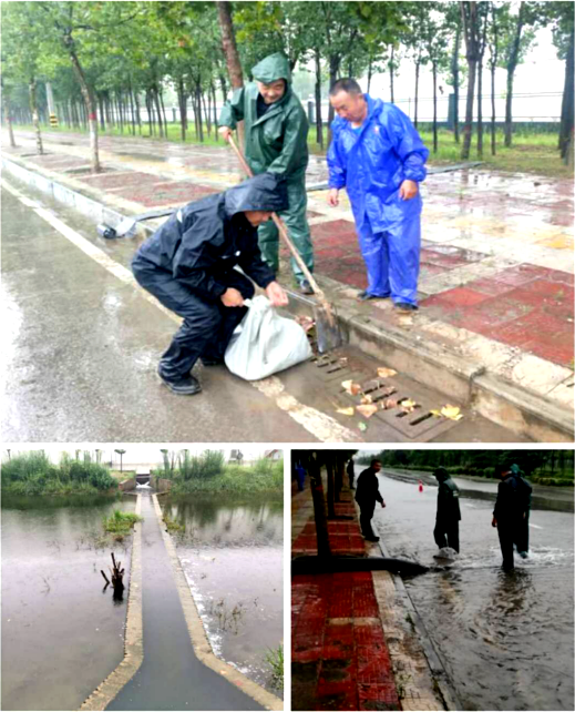 陜儲糧集團大荔庫弘揚“三線”精神 保障庫內(nèi)糧好人安